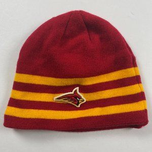 NWOT Arizona Cardinals Winter Hat Cap Toque The Game NFL Football